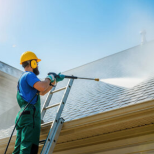 Customized Cleaning Service