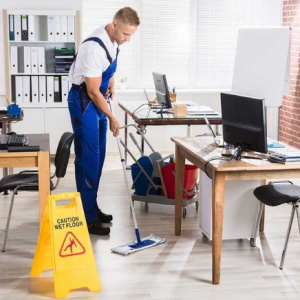 Professional Normal Cleaning Service